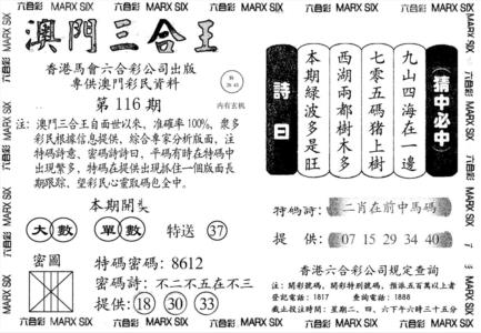 另澳门三合王A