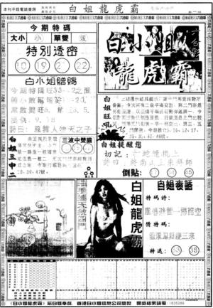 另版白小姐龙虎斗A