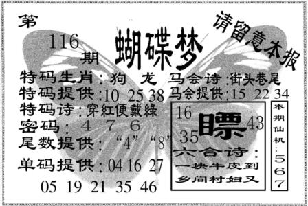 蝴碟梦