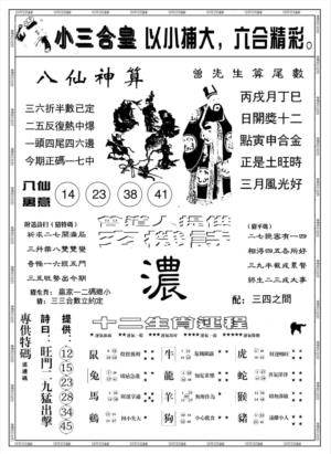 另版小三合皇B