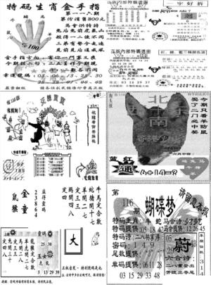 当日报-7
