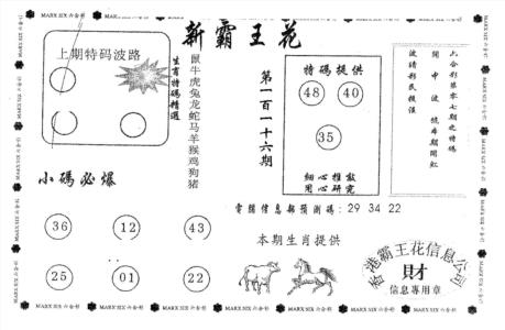 新霸王花