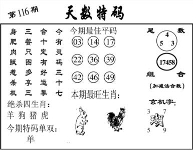 天数特码