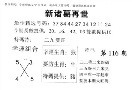 新诸葛