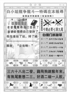 白小姐龙虎斗B