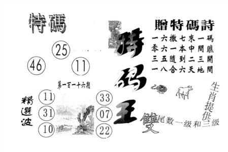 特码王B
