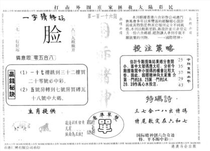 国际赌神