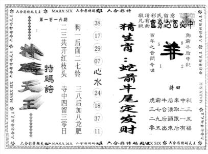 另版特码天王