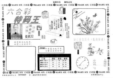 特码王A