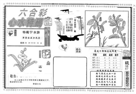 心水特码