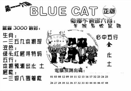蓝猫Blue Cat