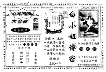新白姐